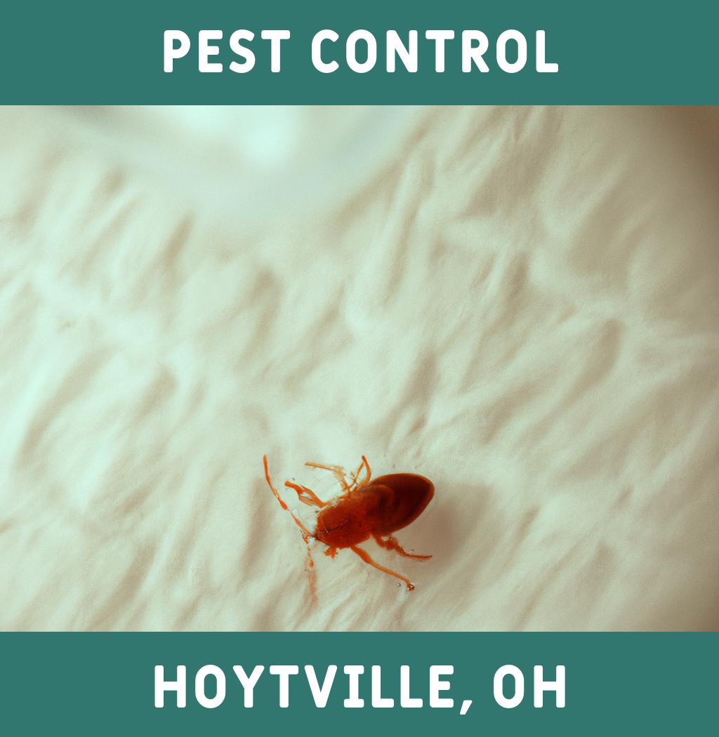 pest control in Hoytville Ohio