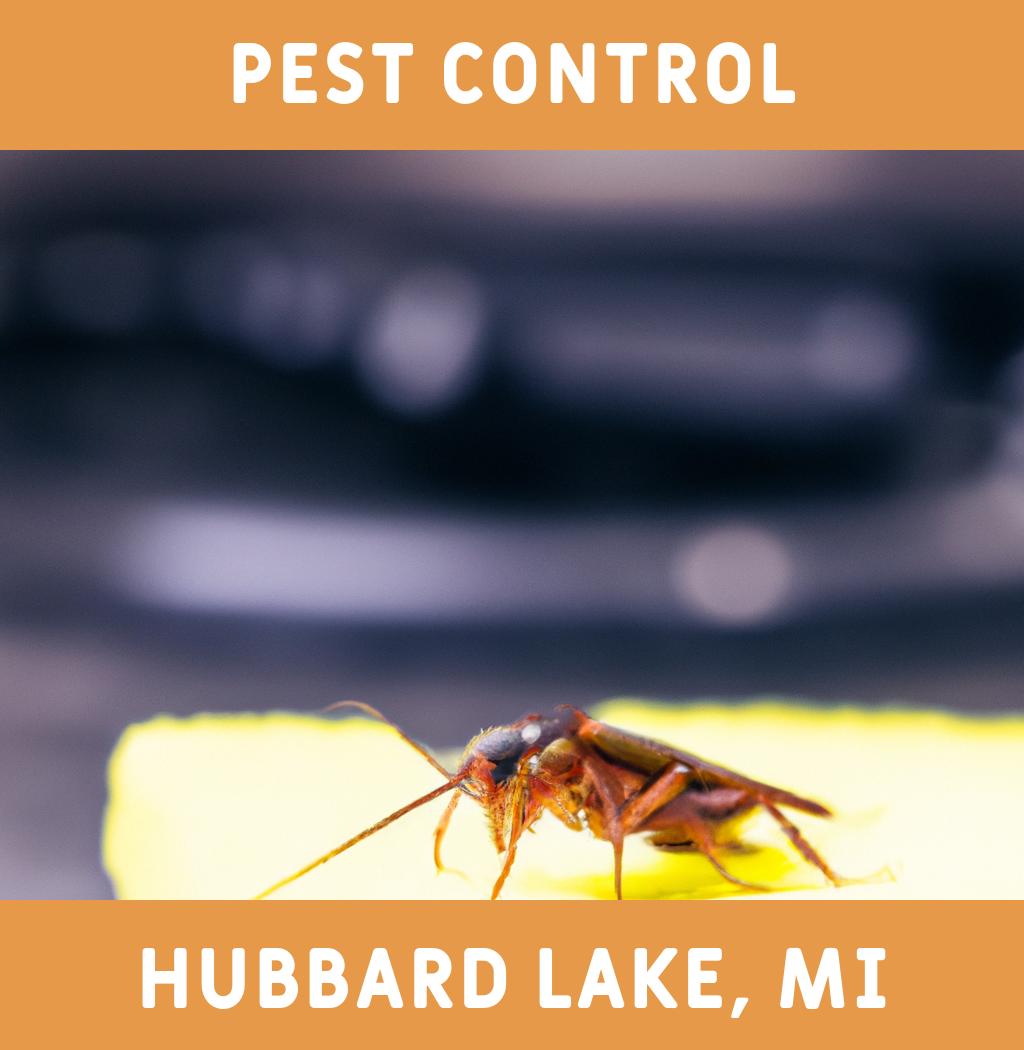 pest control in Hubbard Lake Michigan