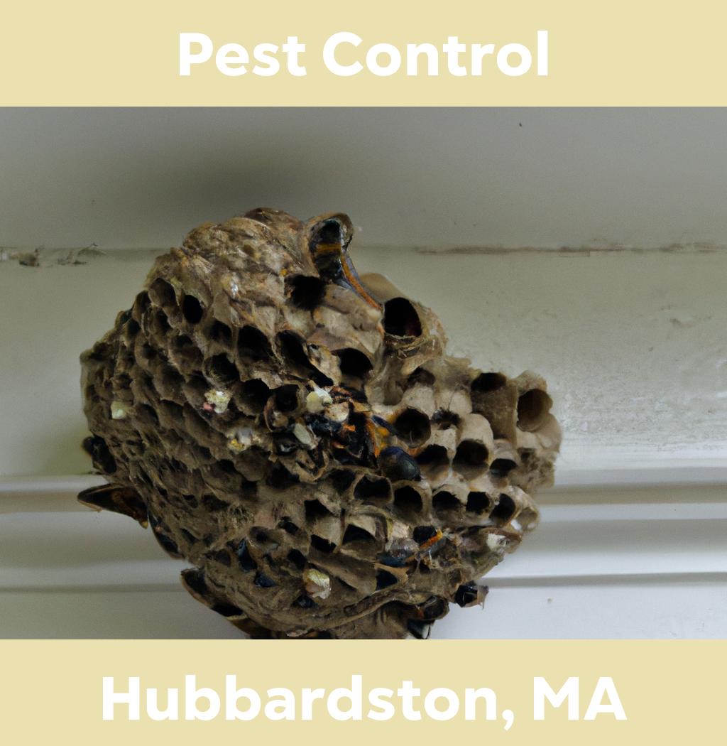 pest control in Hubbardston Massachusetts