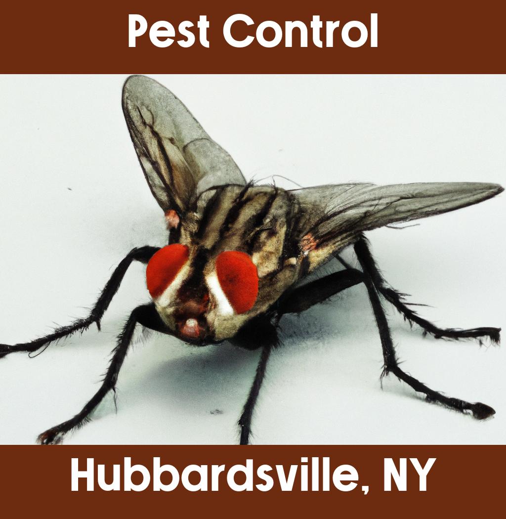 pest control in Hubbardsville New York
