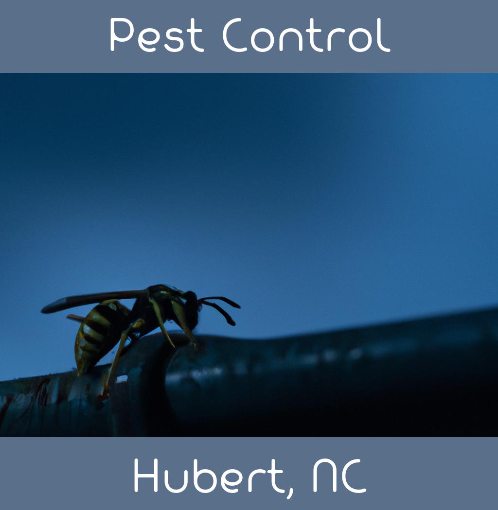 pest control in Hubert North Carolina
