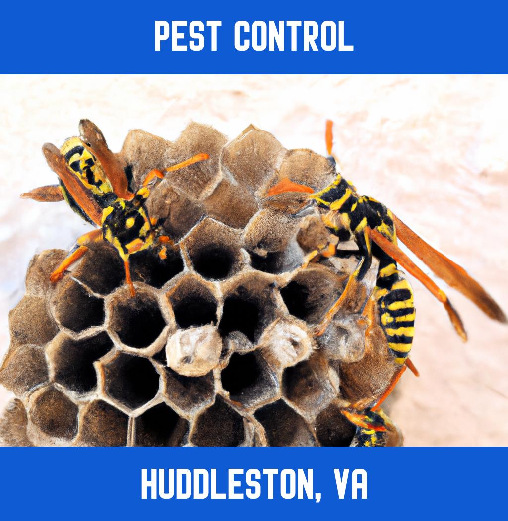 pest control in Huddleston Virginia