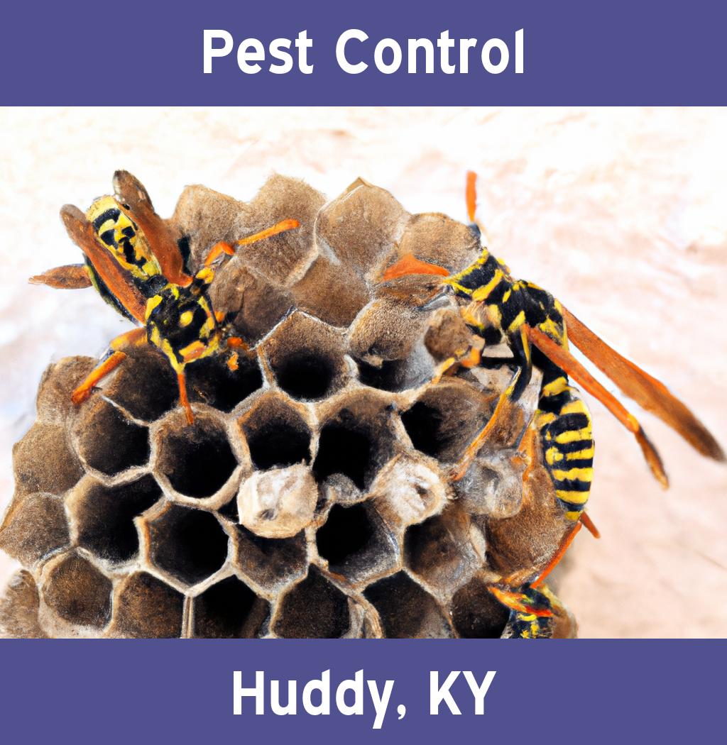 pest control in Huddy Kentucky