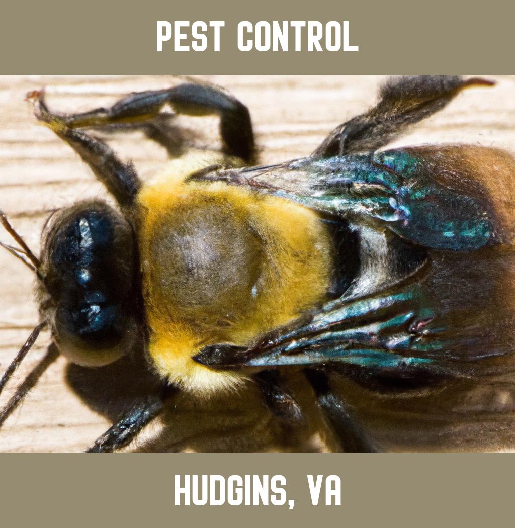 pest control in Hudgins Virginia