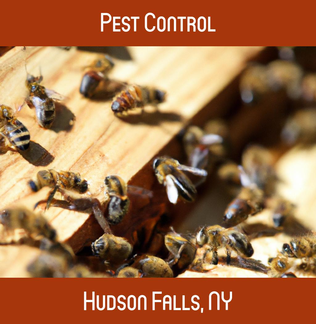 pest control in Hudson Falls New York