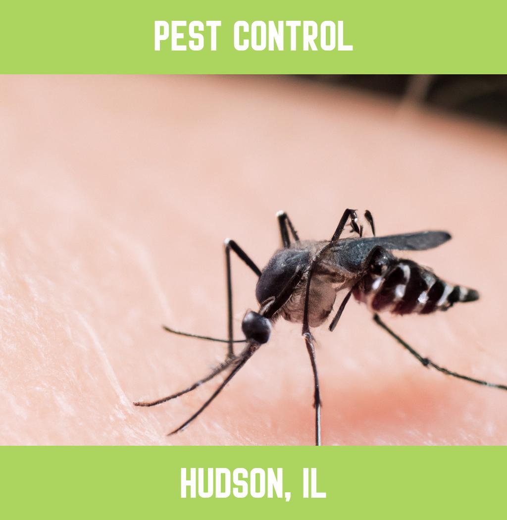 pest control in Hudson Illinois