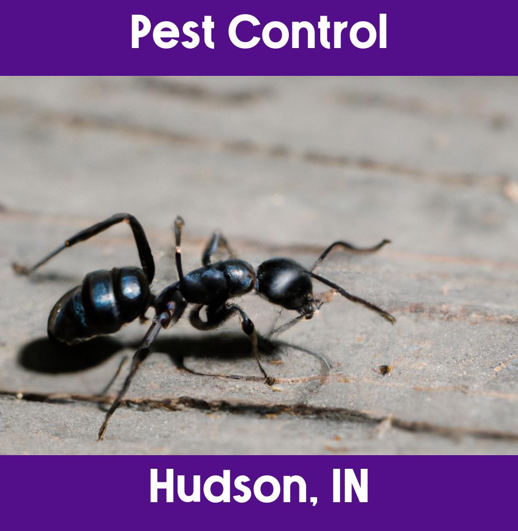pest control in Hudson Indiana