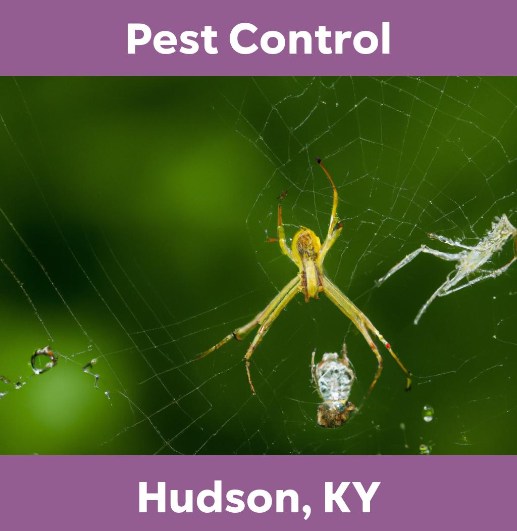 pest control in Hudson Kentucky