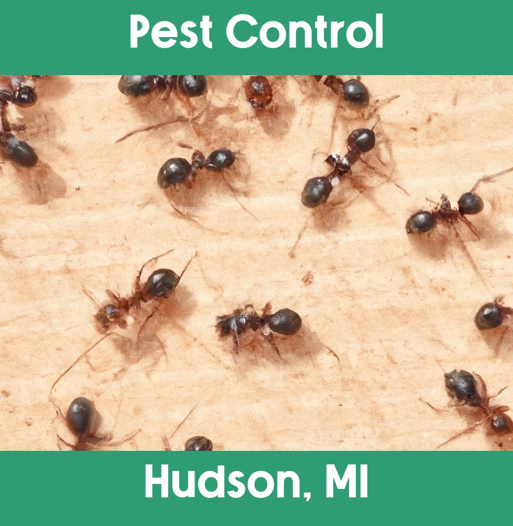 pest control in Hudson Michigan