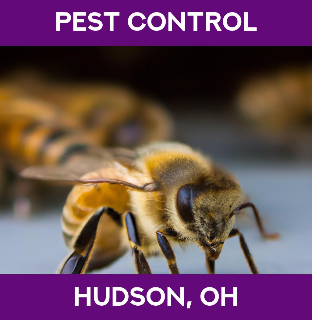 pest control in Hudson Ohio