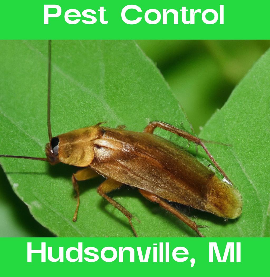 pest control in Hudsonville Michigan