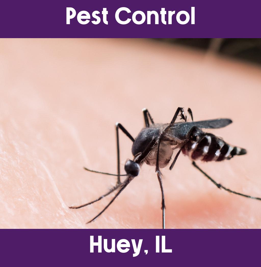 pest control in Huey Illinois