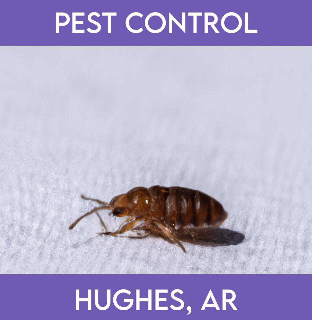 pest control in Hughes Arkansas