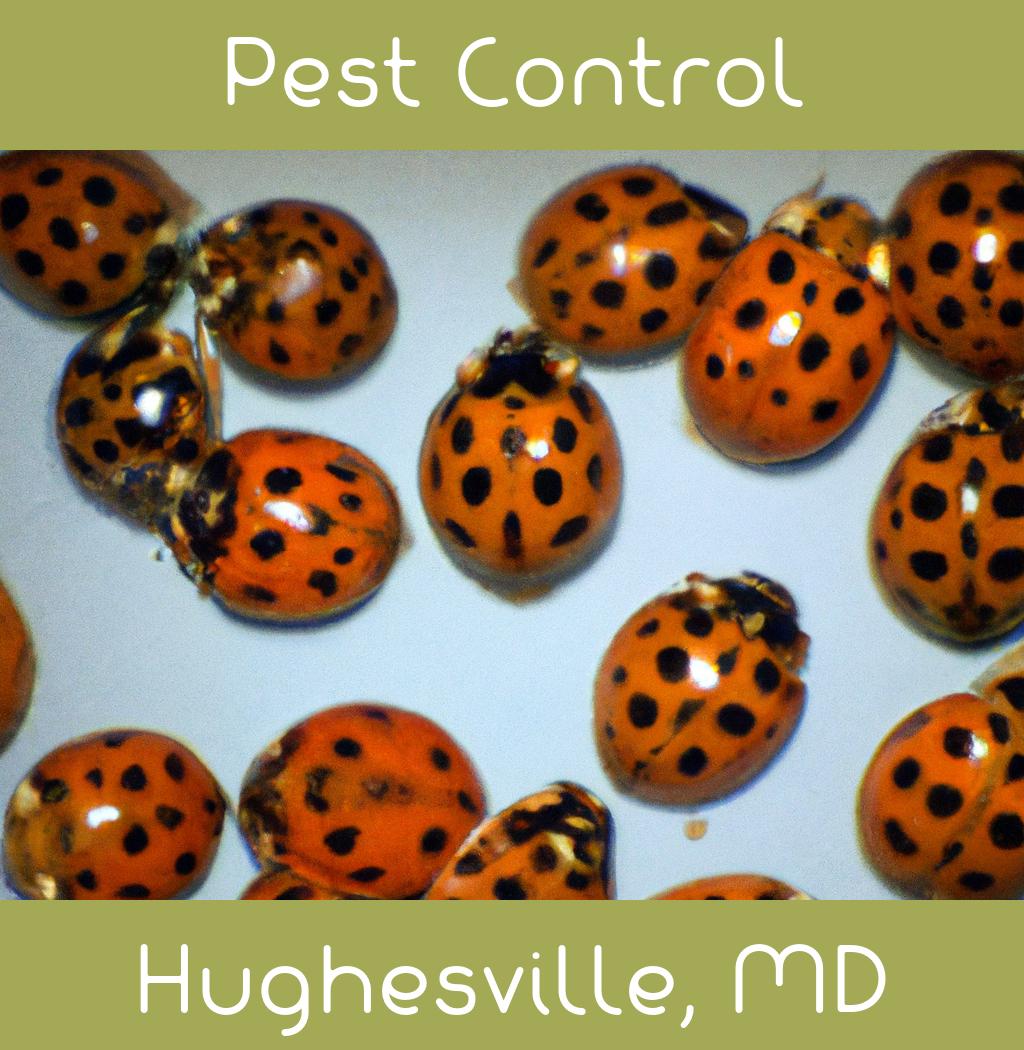 pest control in Hughesville Maryland