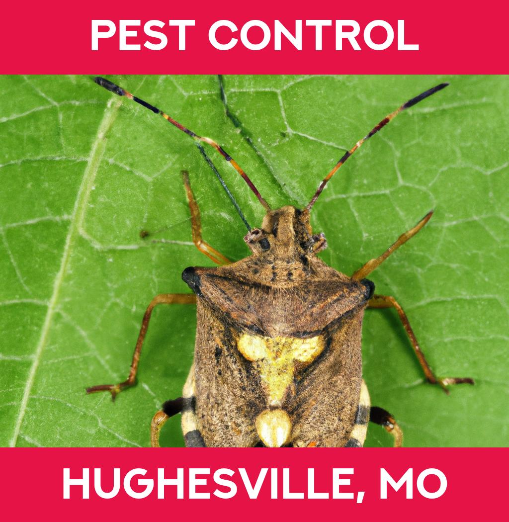 pest control in Hughesville Missouri