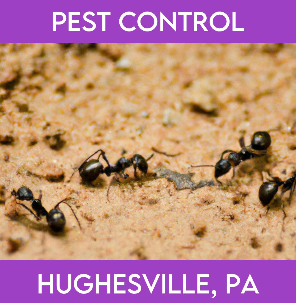 pest control in Hughesville Pennsylvania