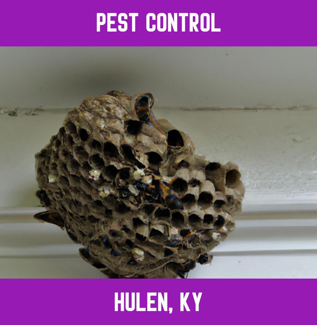 pest control in Hulen Kentucky