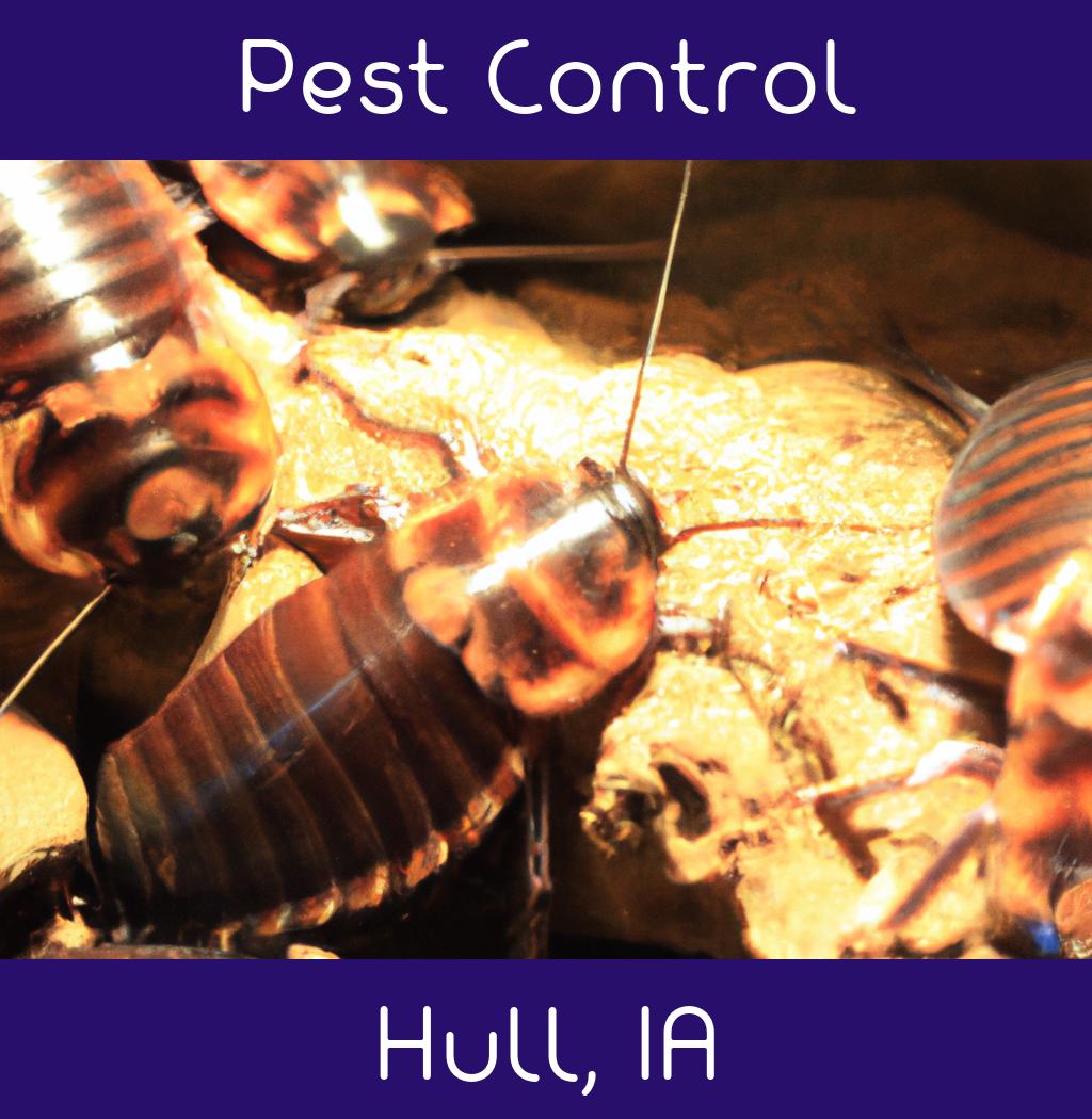pest control in Hull Iowa