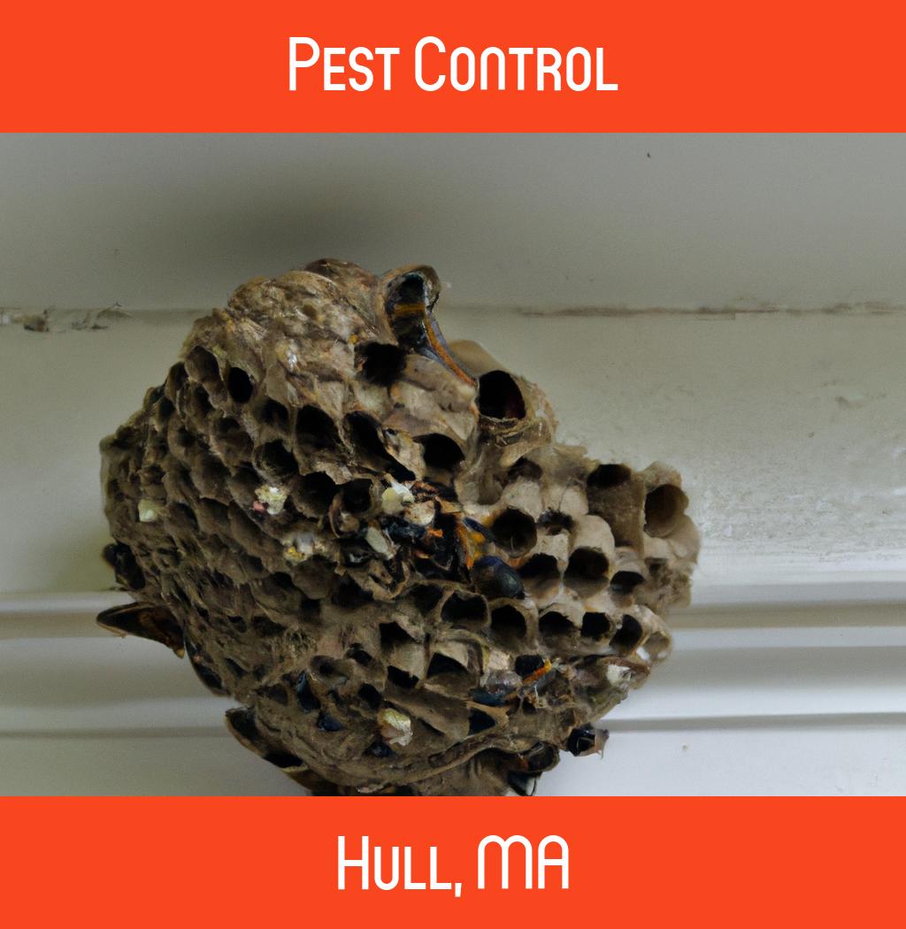 pest control in Hull Massachusetts