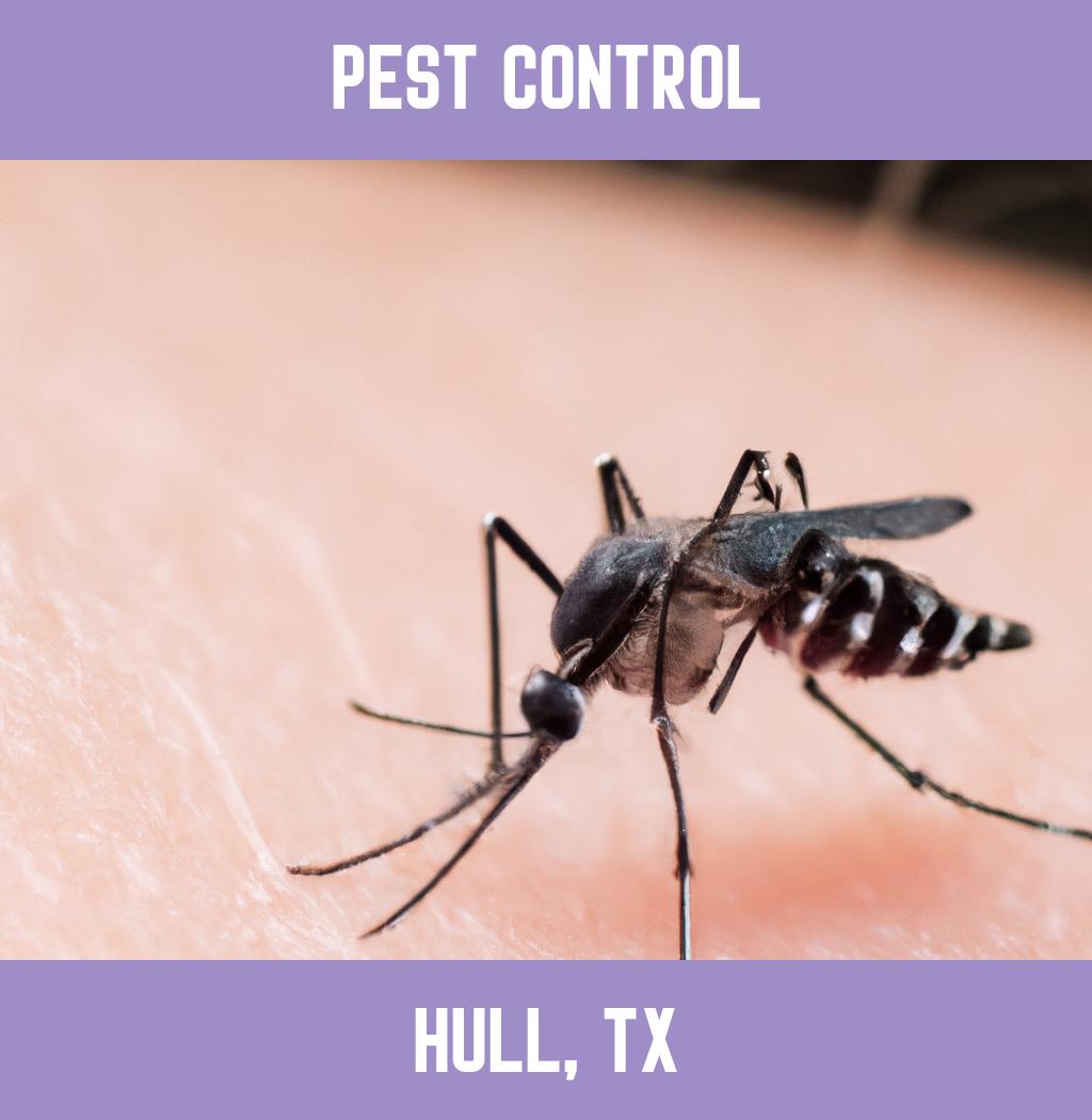 pest control in Hull Texas
