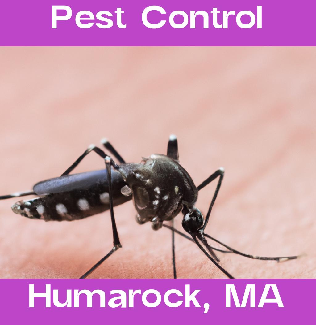 pest control in Humarock Massachusetts