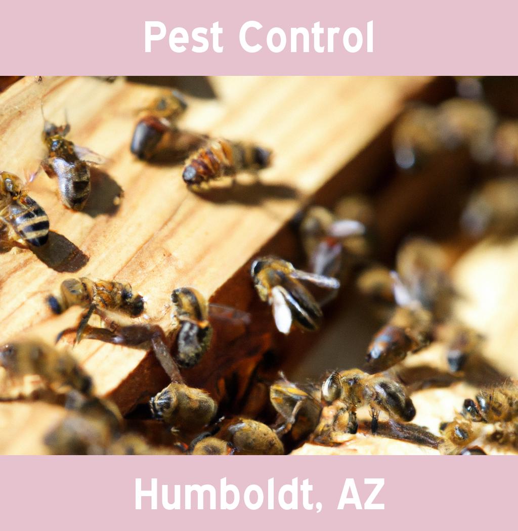 pest control in Humboldt Arizona