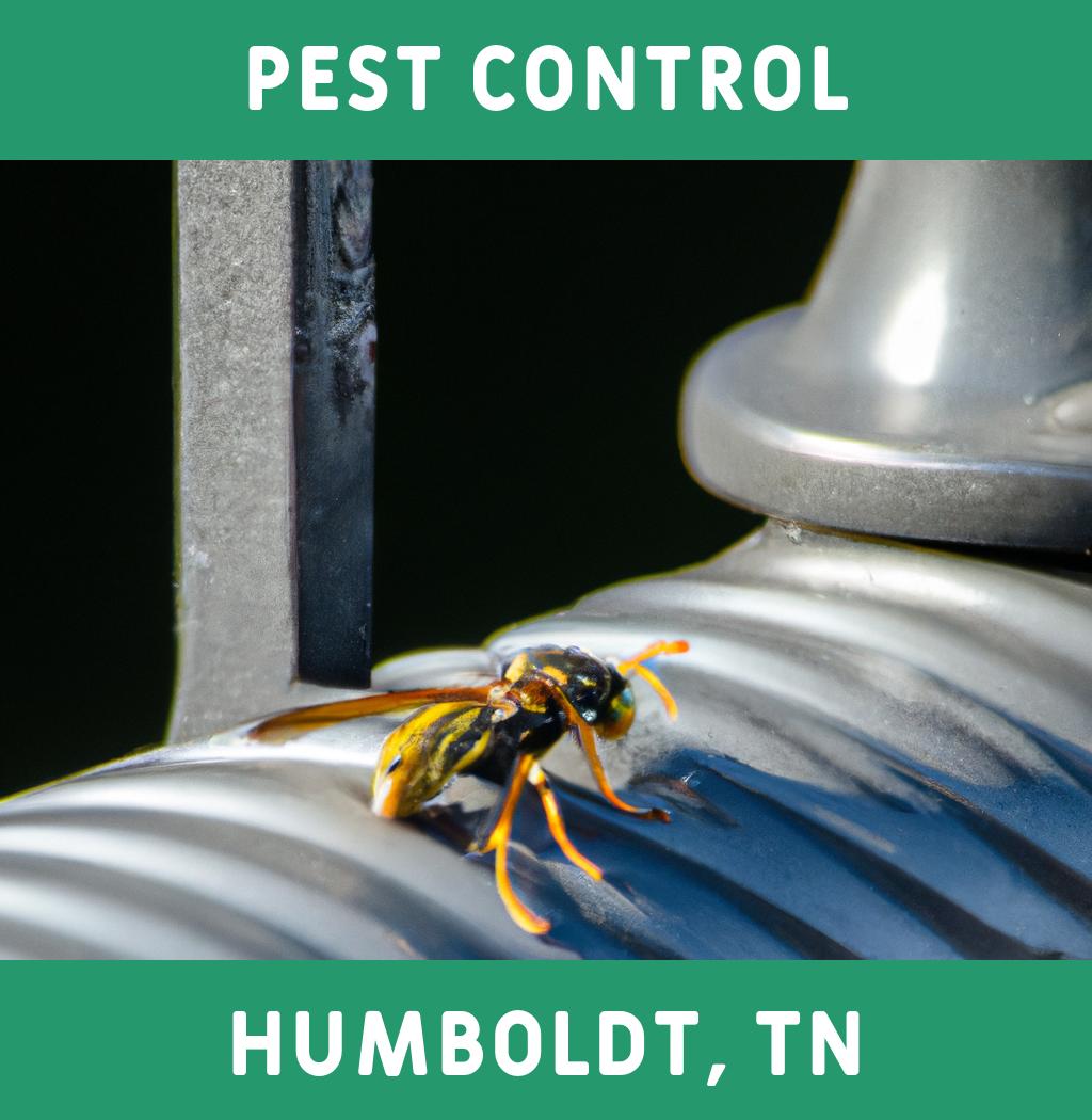 pest control in Humboldt Tennessee
