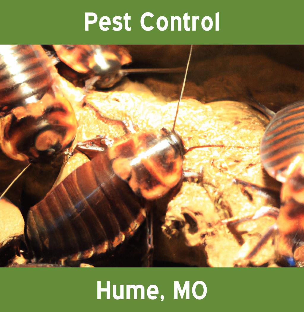 pest control in Hume Missouri