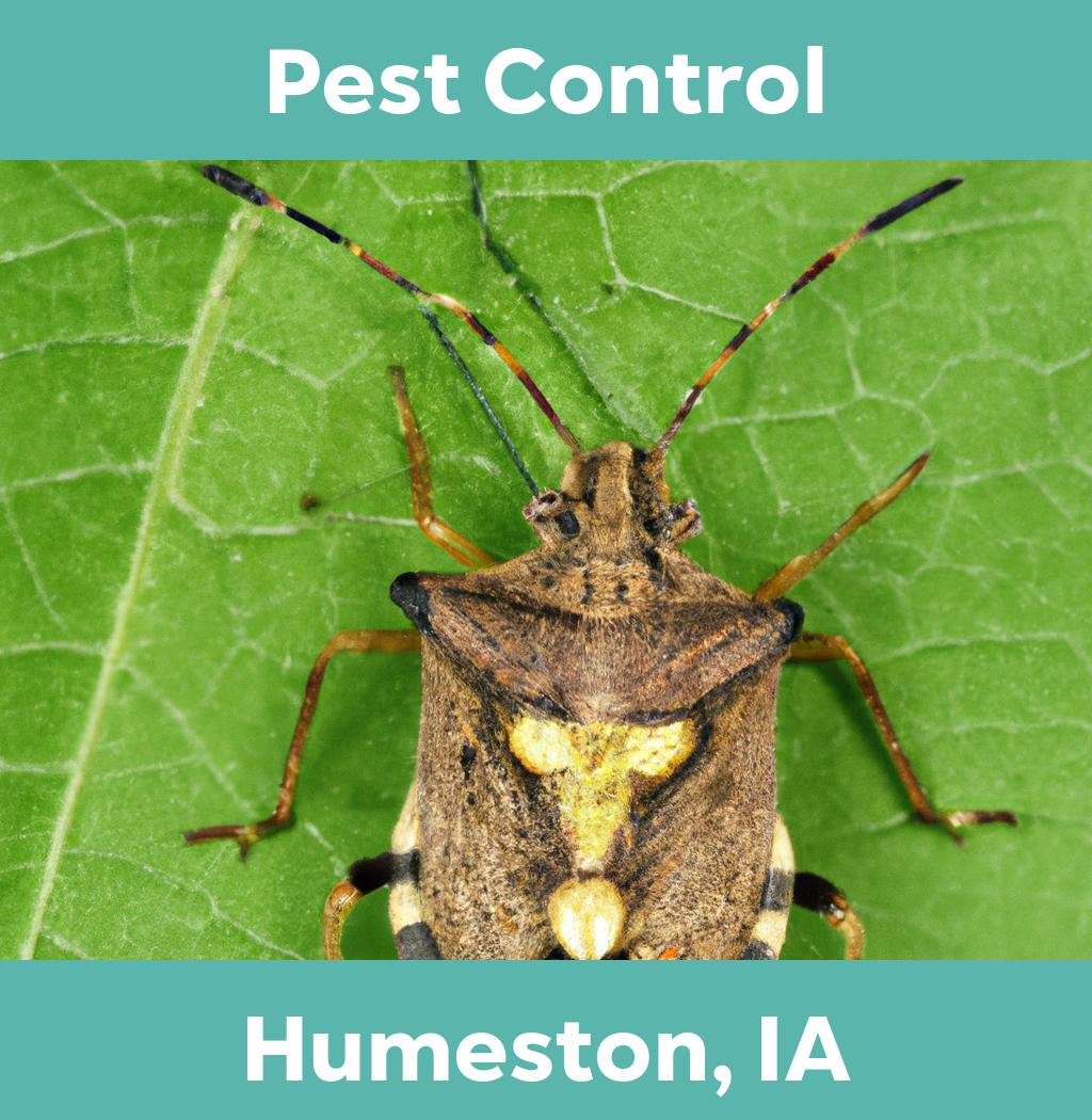 pest control in Humeston Iowa