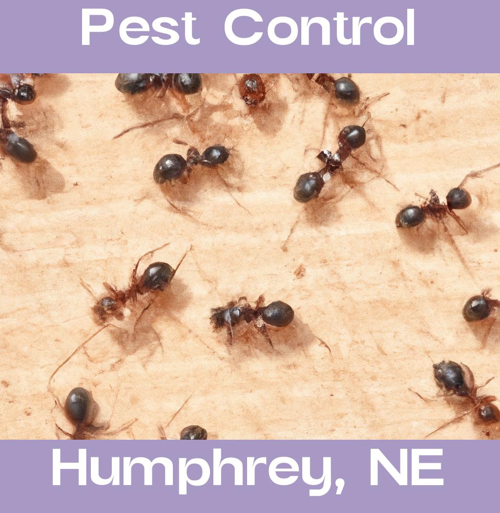 pest control in Humphrey Nebraska