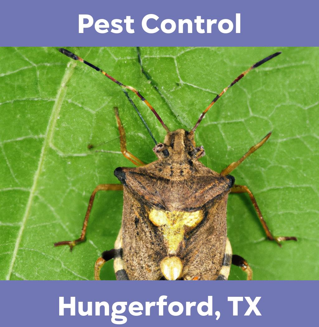 pest control in Hungerford Texas