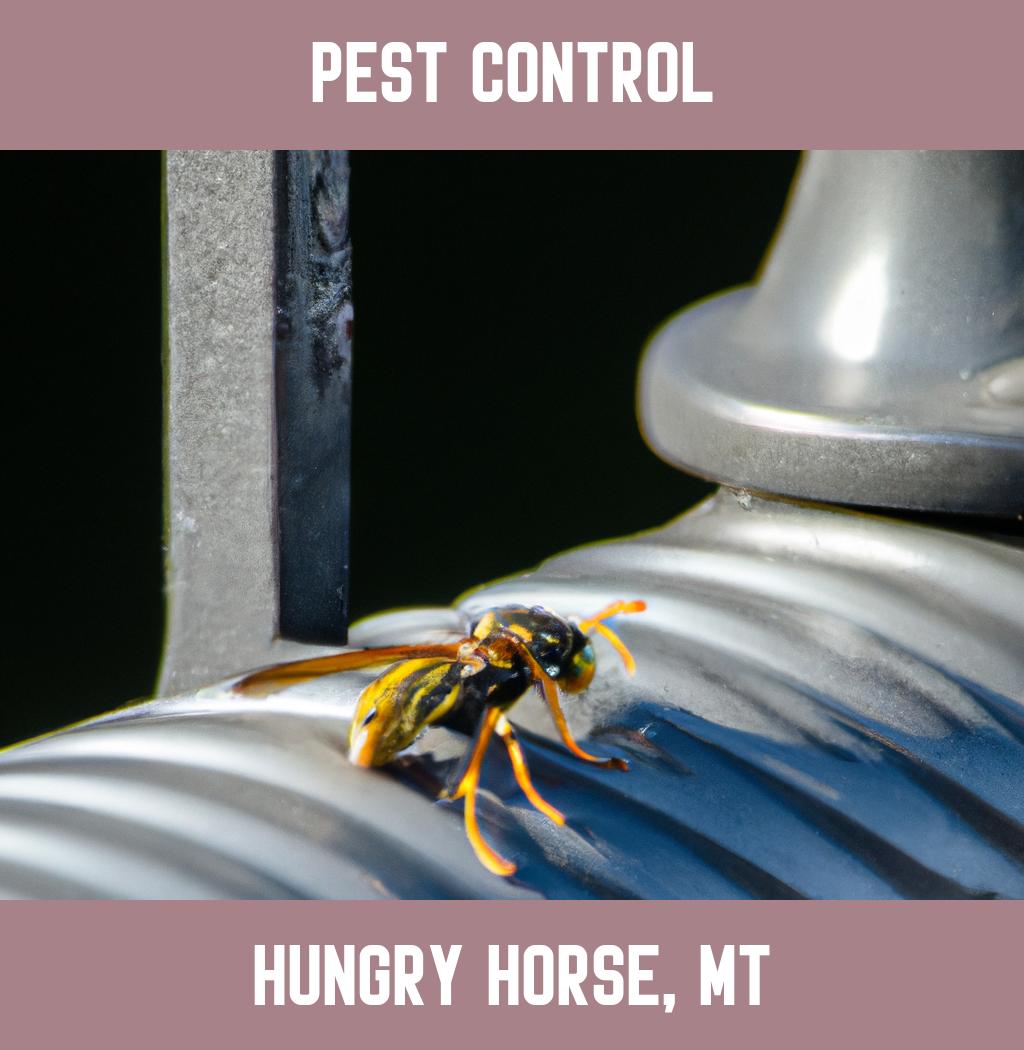 pest control in Hungry Horse Montana
