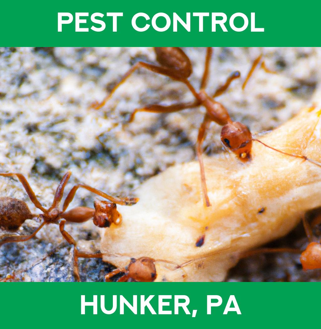 pest control in Hunker Pennsylvania