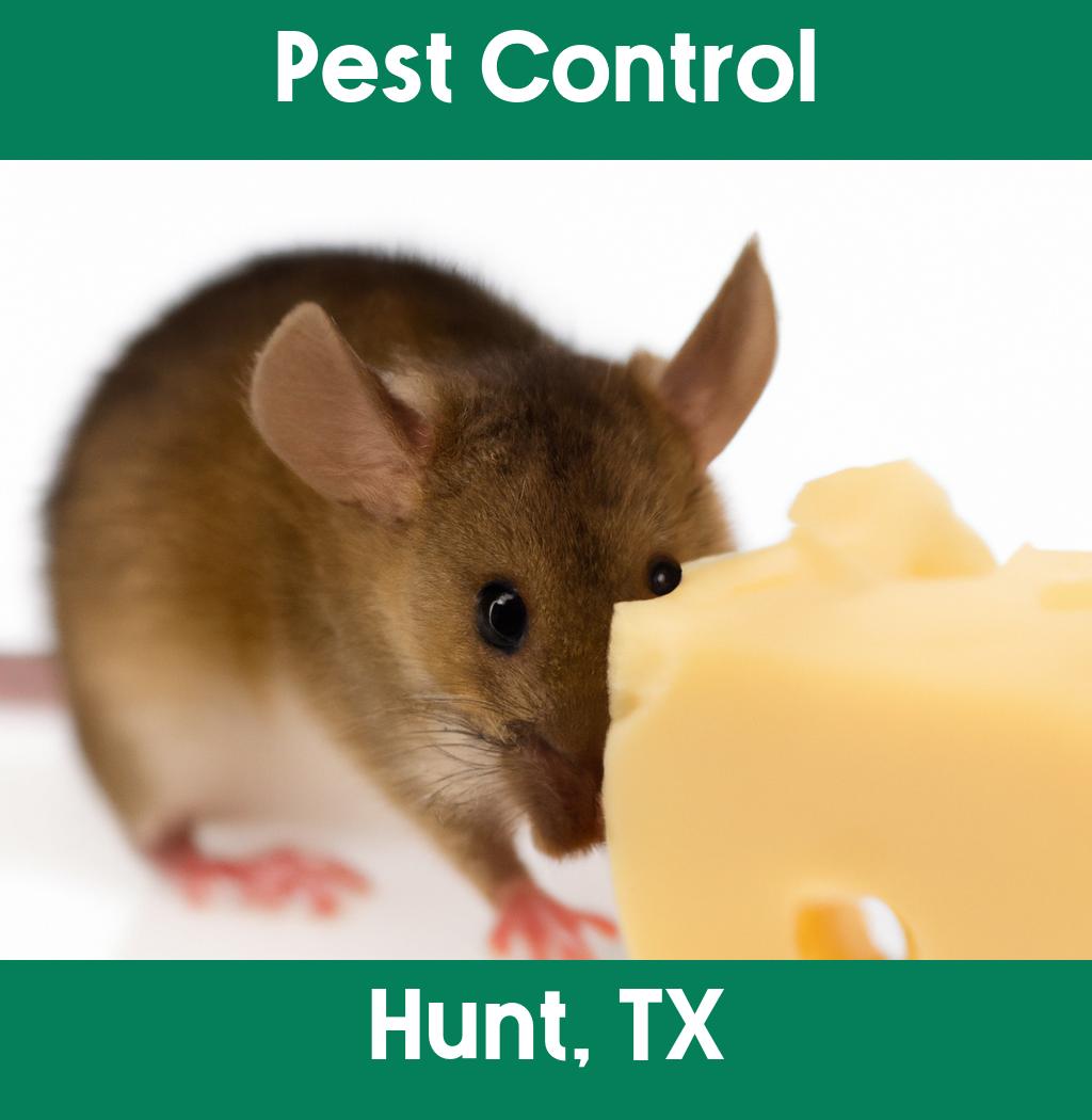pest control in Hunt Texas