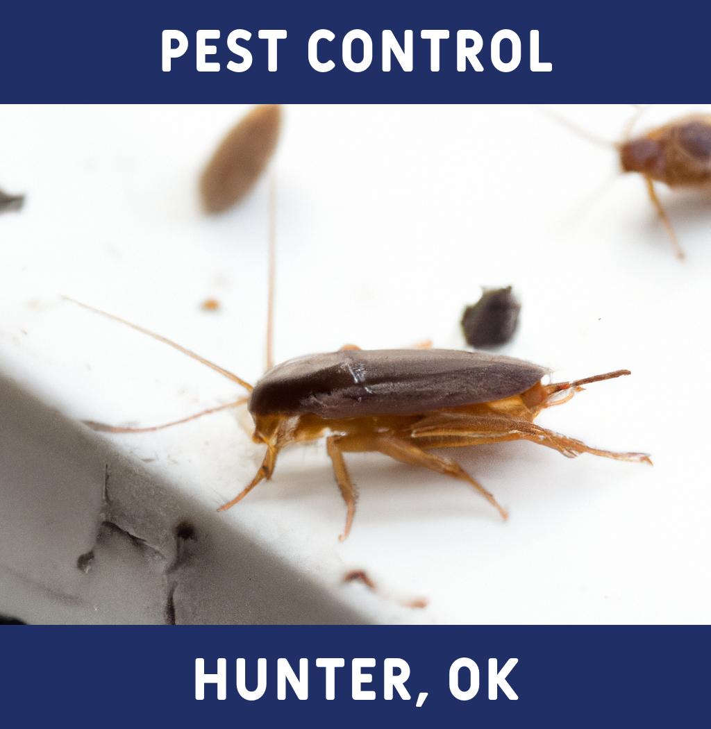 pest control in Hunter Oklahoma