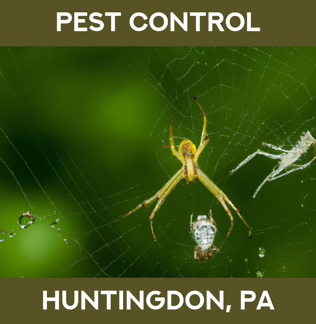 pest control in Huntingdon Pennsylvania