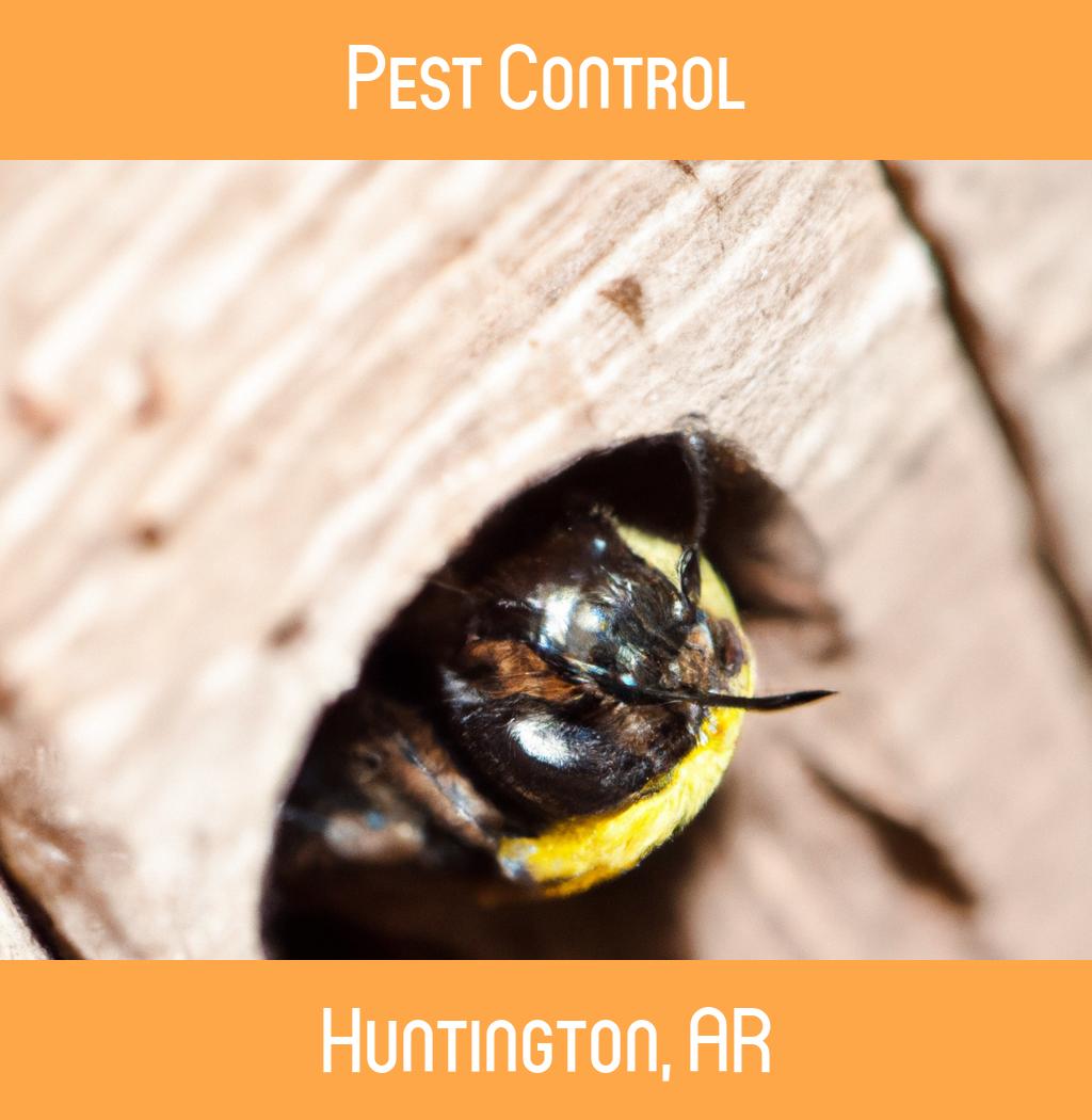 pest control in Huntington Arkansas