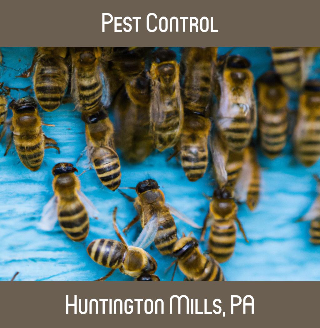 pest control in Huntington Mills Pennsylvania