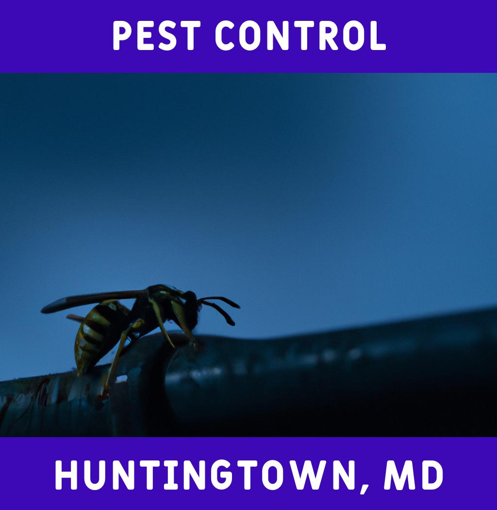 pest control in Huntingtown Maryland
