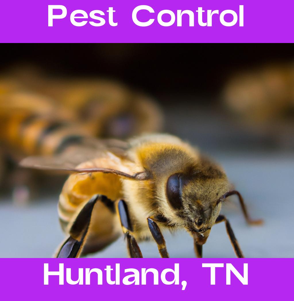 pest control in Huntland Tennessee