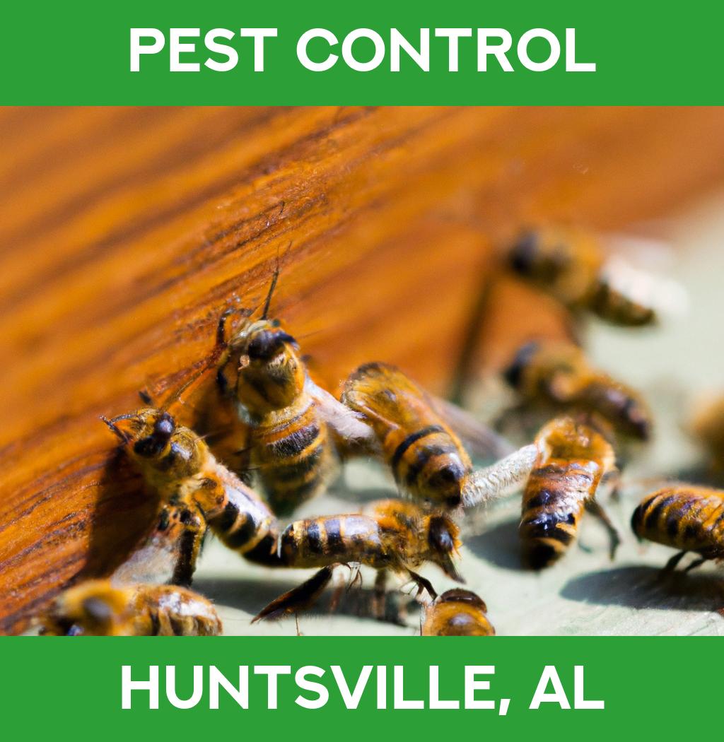 pest control in Huntsville Alabama