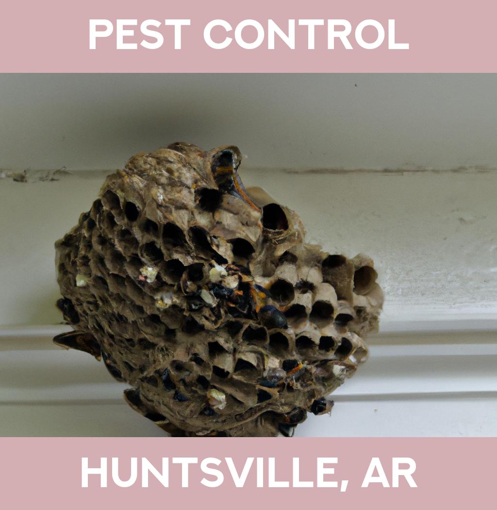 pest control in Huntsville Arkansas