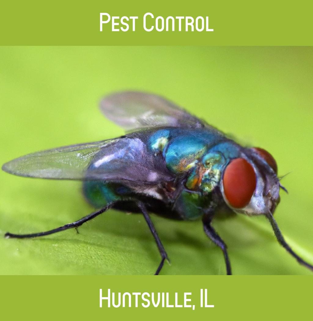 pest control in Huntsville Illinois
