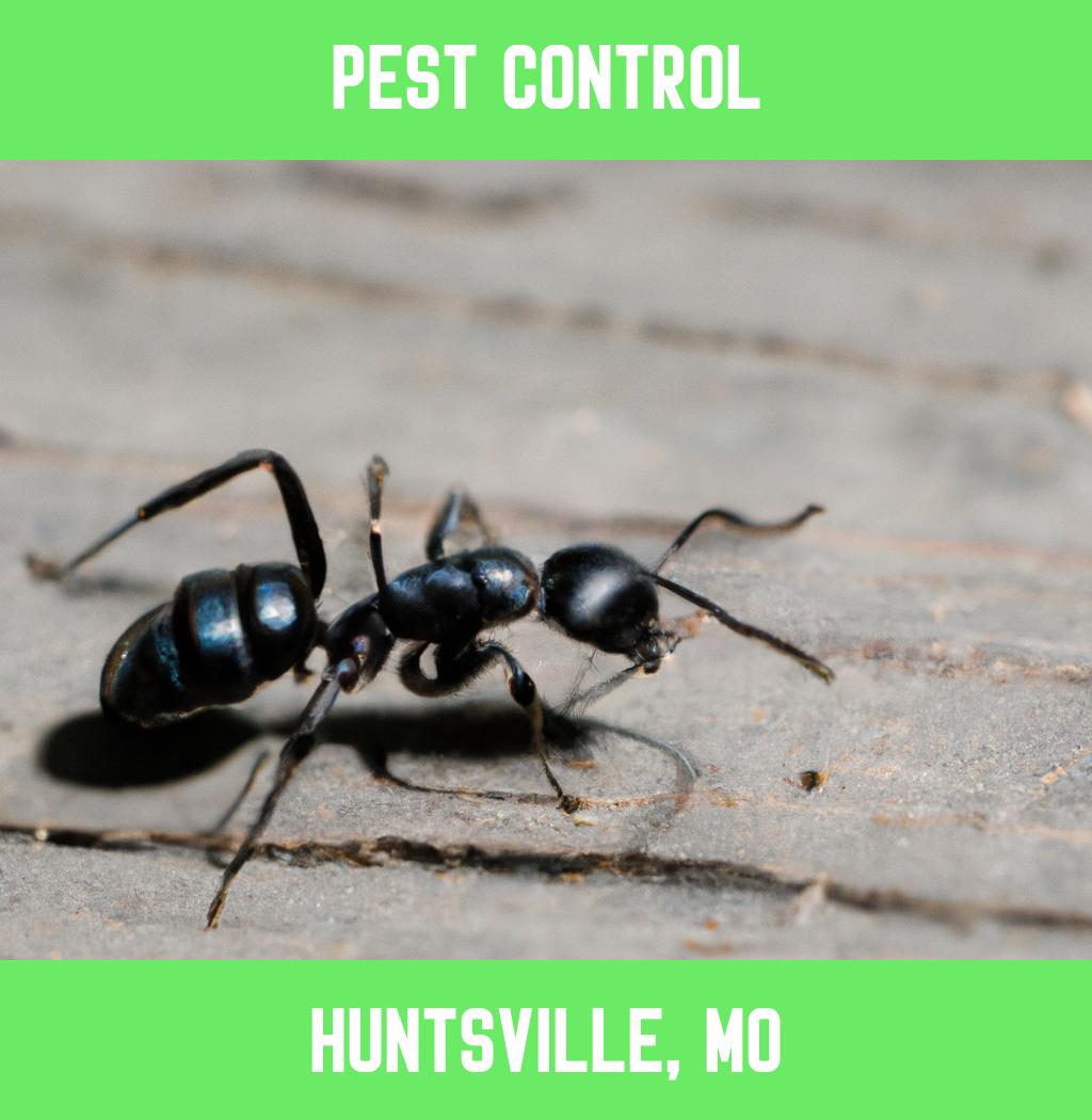 pest control in Huntsville Missouri