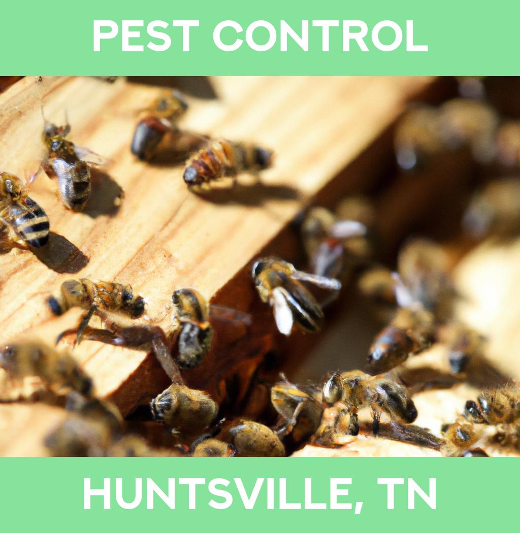 pest control in Huntsville Tennessee