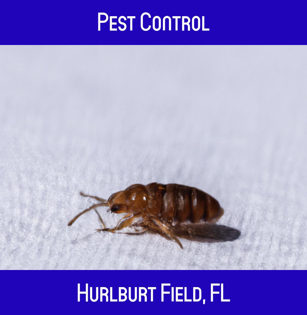 pest control in Hurlburt Field Florida