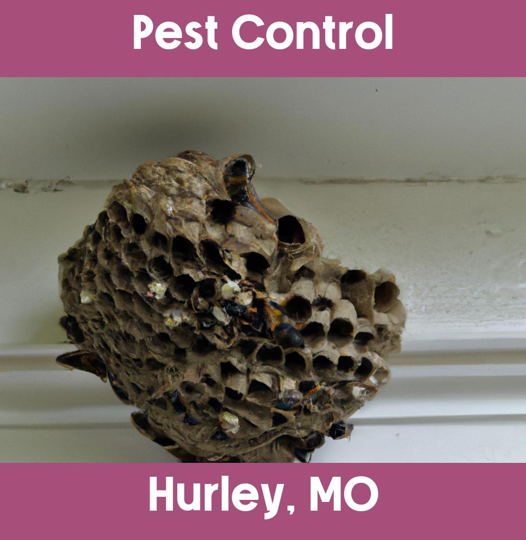 pest control in Hurley Missouri