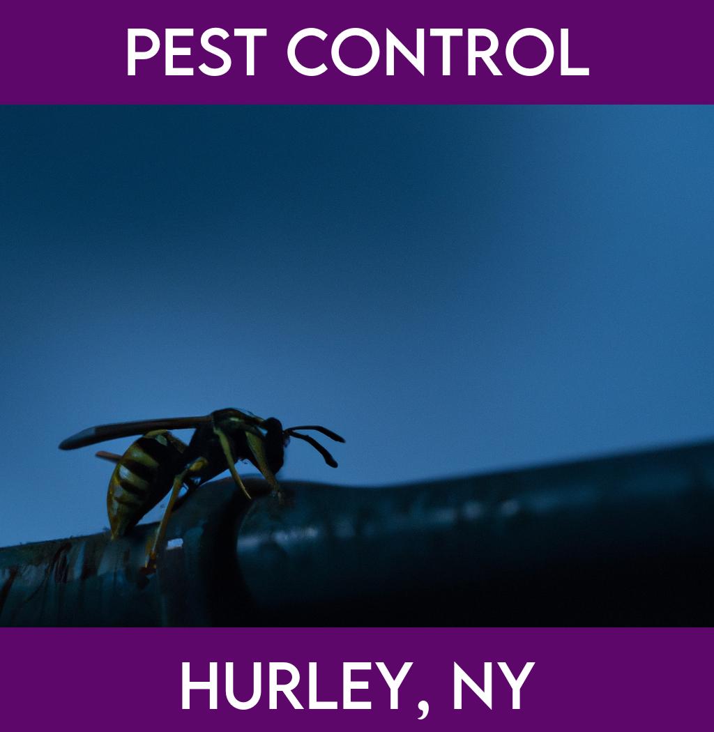 pest control in Hurley New York