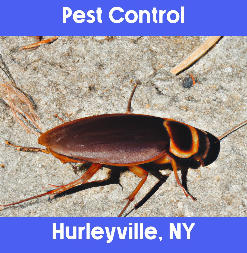 pest control in Hurleyville New York