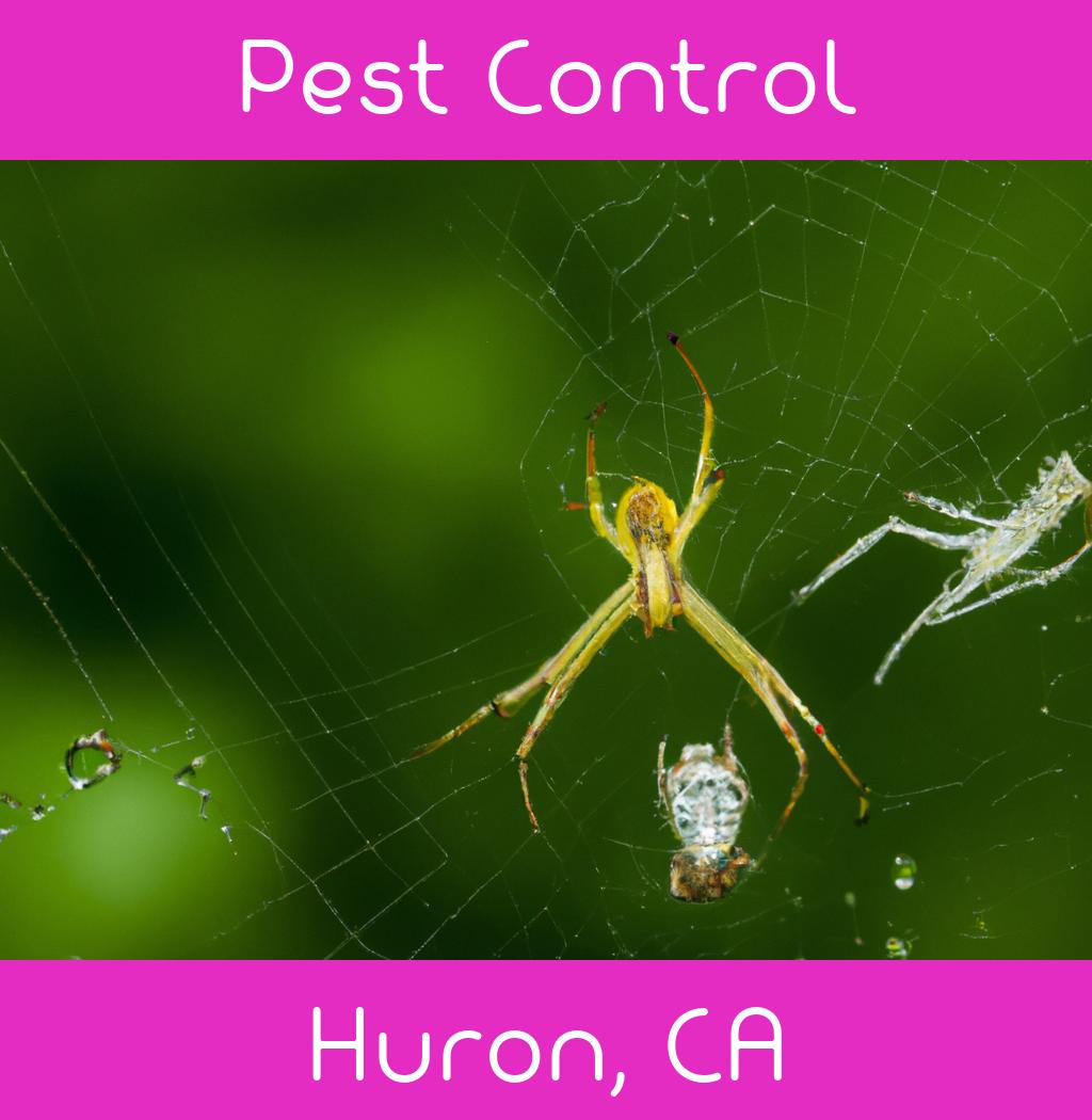 pest control in Huron California